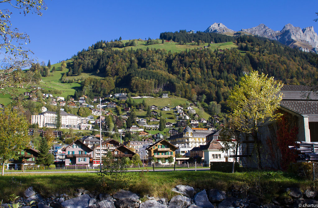 selfpublish-koken-20141009-No001.jpg