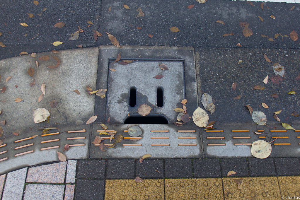 selfpublish-koken-20141127-No036.jpg