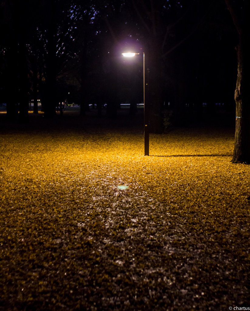 selfpublish-koken-20141127-No003.jpg
